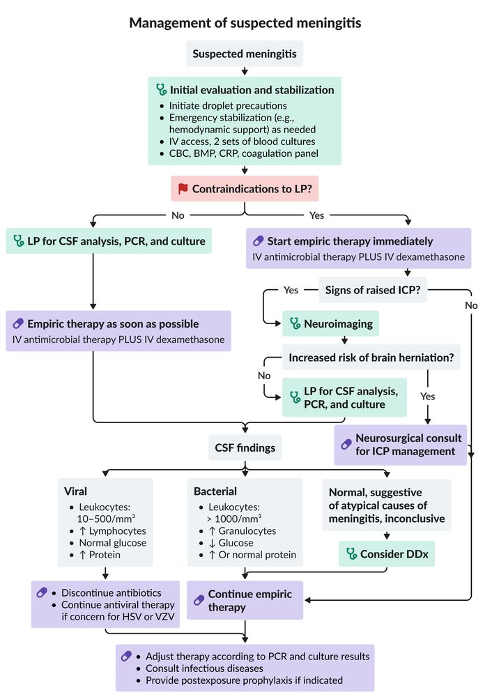 Management of meningitis