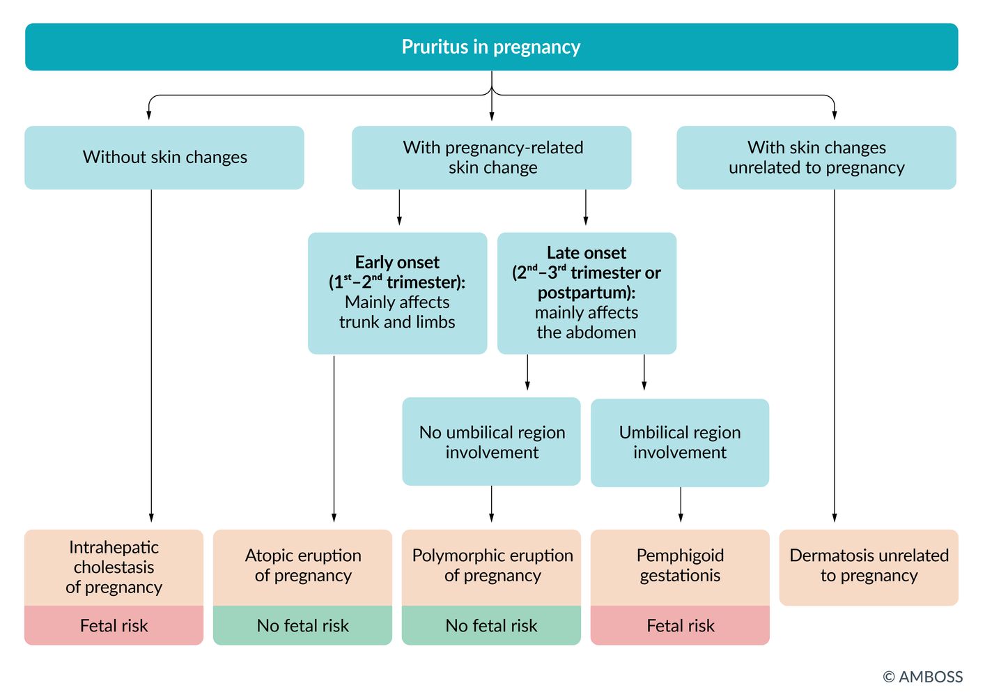 Pruritus in pregnancy