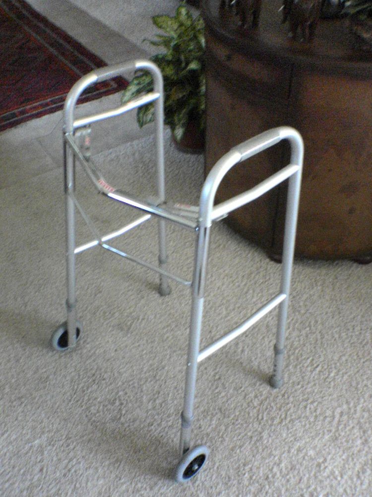 Two-wheeled walker